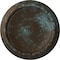 Ekena Millwork Carlsbad Ceiling Medallion (Fits Canopies up to 14 1/4"), 19 1/2"OD x 1 3/4"P, Bronze Blue Patina CM19CABBS - alternate 1
